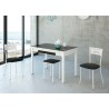 Conjunto de mesa cocina extensible con sillas y taburetes blancos